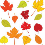 17 Best Leaf Templates Images On Pinterest Leaf Template Leaves And