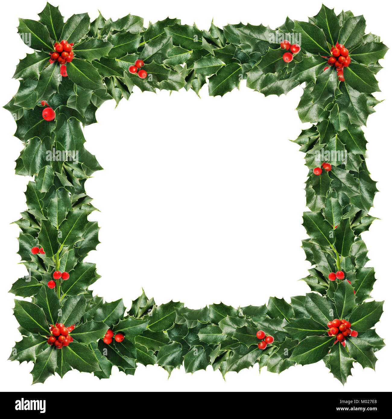 Christmas Border Of Green Holly Leaves And Berries Isolated On for Christmas Leaves Border