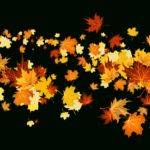 Autumn Fall Leaves Fall Leaf Clip Art Outline Free Clipart Images Regarding Fall Leaves Clip Art Printable