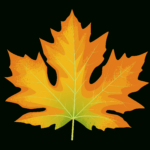 Big Leaf Maple Autumn Leaf   Free Vector Clipart Images On Within Big Fall Leaves Printable