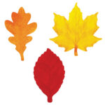Color Fall Leaves Template   Clip Art Library   Worksheets Library With Free Printable Fall Leaves In Color