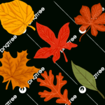 Cute Autumn Leaves Vector, Autumn Clipart, Leaves Clipart, Autumn Within Fall Leaves Clip Art Free Printable