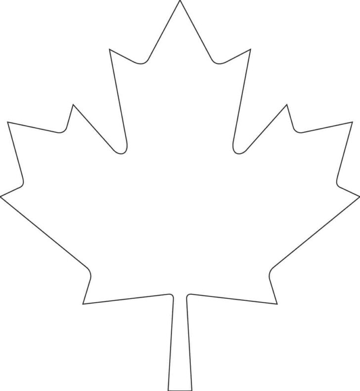 Canadian Maple Leaf Template Printable