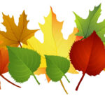 Fall Clipart Free 18 M Fall Leaves Fall Clip Art Autumn Clip Art Within Fall Leaves Clip Art Printable