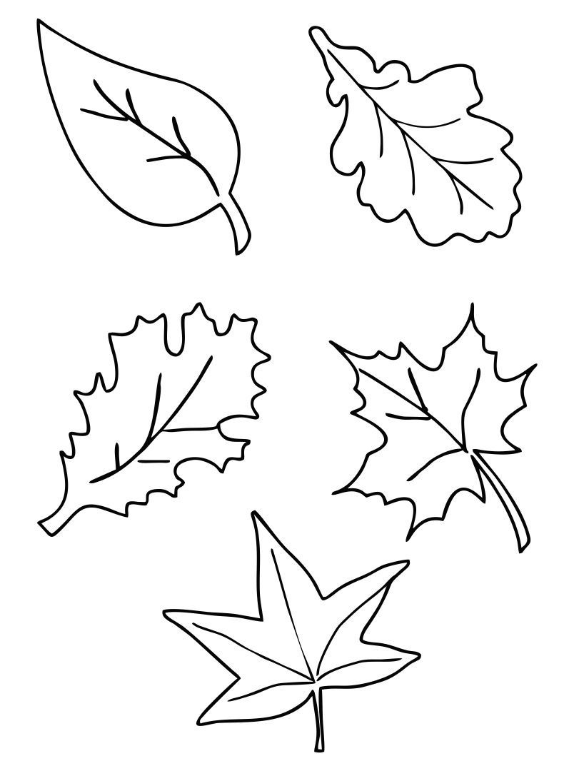 Fall Leaf Printables - Printable Party Favors regarding Free Printable Fall Leaves Template