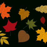 Fall Leaves   10 Free Pdf Printables | Printablee   Worksheets Library In Free Printable Fall Leaves In Color
