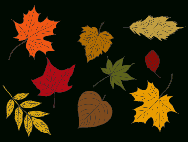Free Printable Fall Leaves In Color