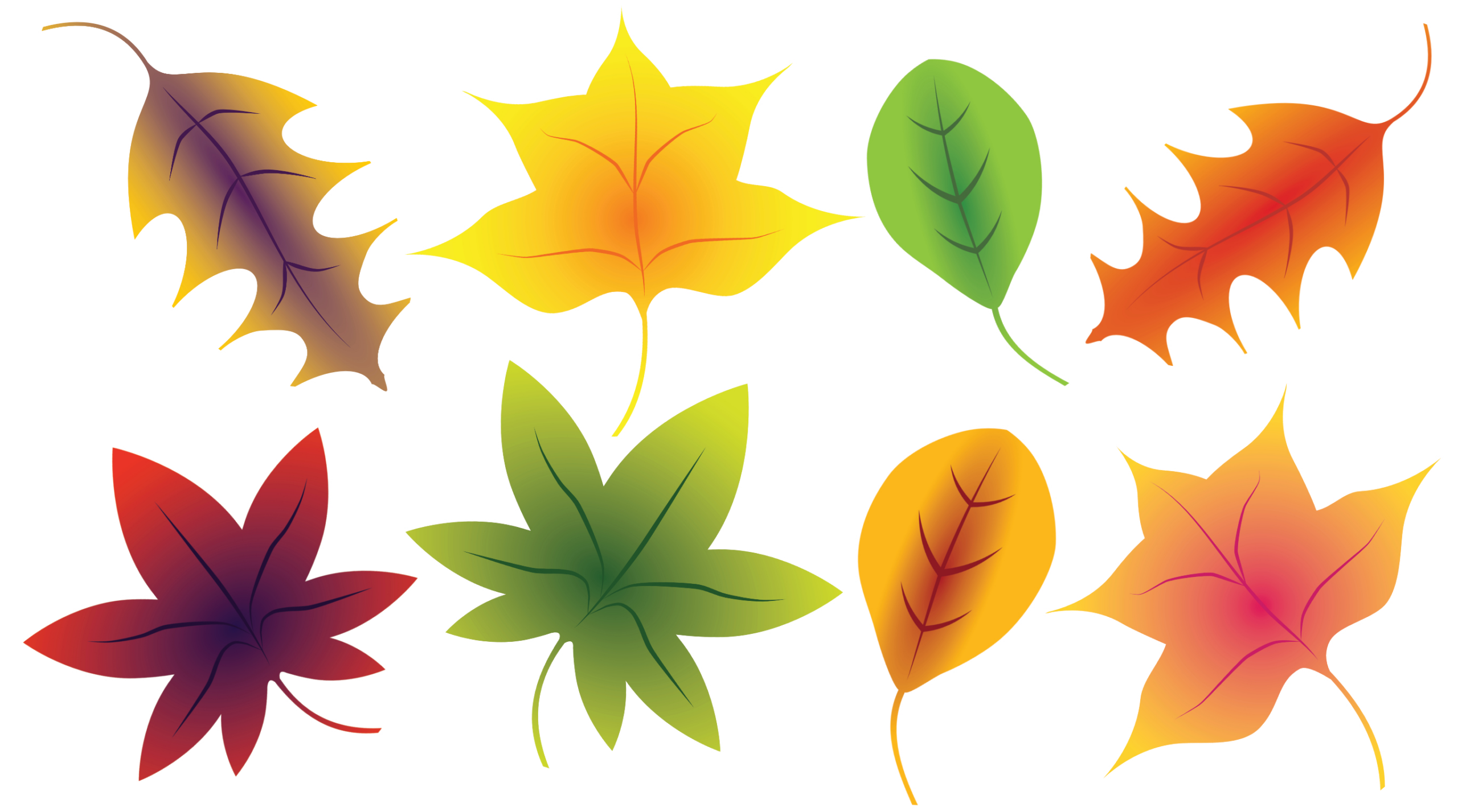 Fall Leaves Clip Art - A Free Clip Art Bundle Thats Too Good To inside Printable Fall Leaves Clip Art