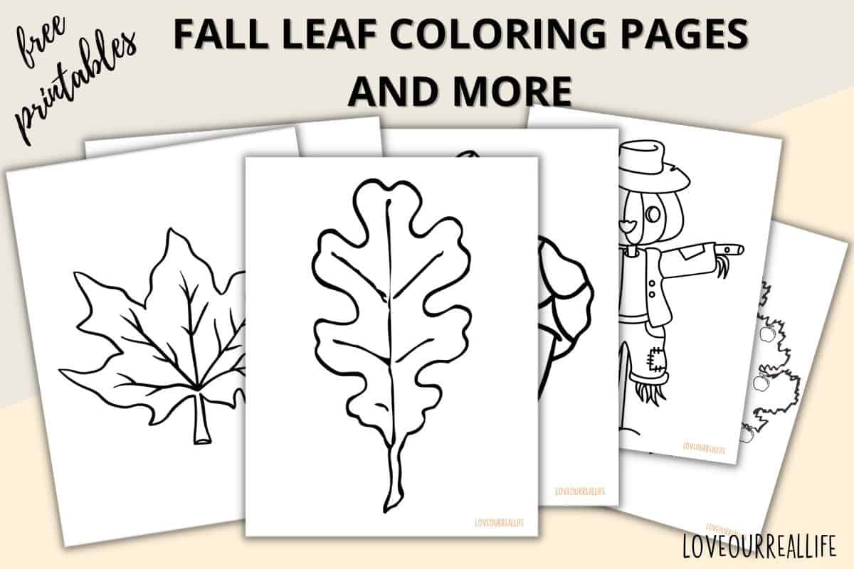 Fall Leaves Coloring Pages + Free Printable Leaf Templates ⋆ Love for Free Printable Fall Leaves Coloring Pages