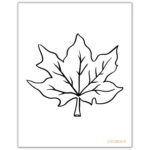 Fall Leaves Coloring Pages + Free Printable Leaf Templates ⋆ Love Regarding Printable Fall Leaves To Color
