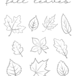 Fall Leaves Printable   Our Kid Things   Worksheets Library For Printable Pictures Of Fall Leaves
