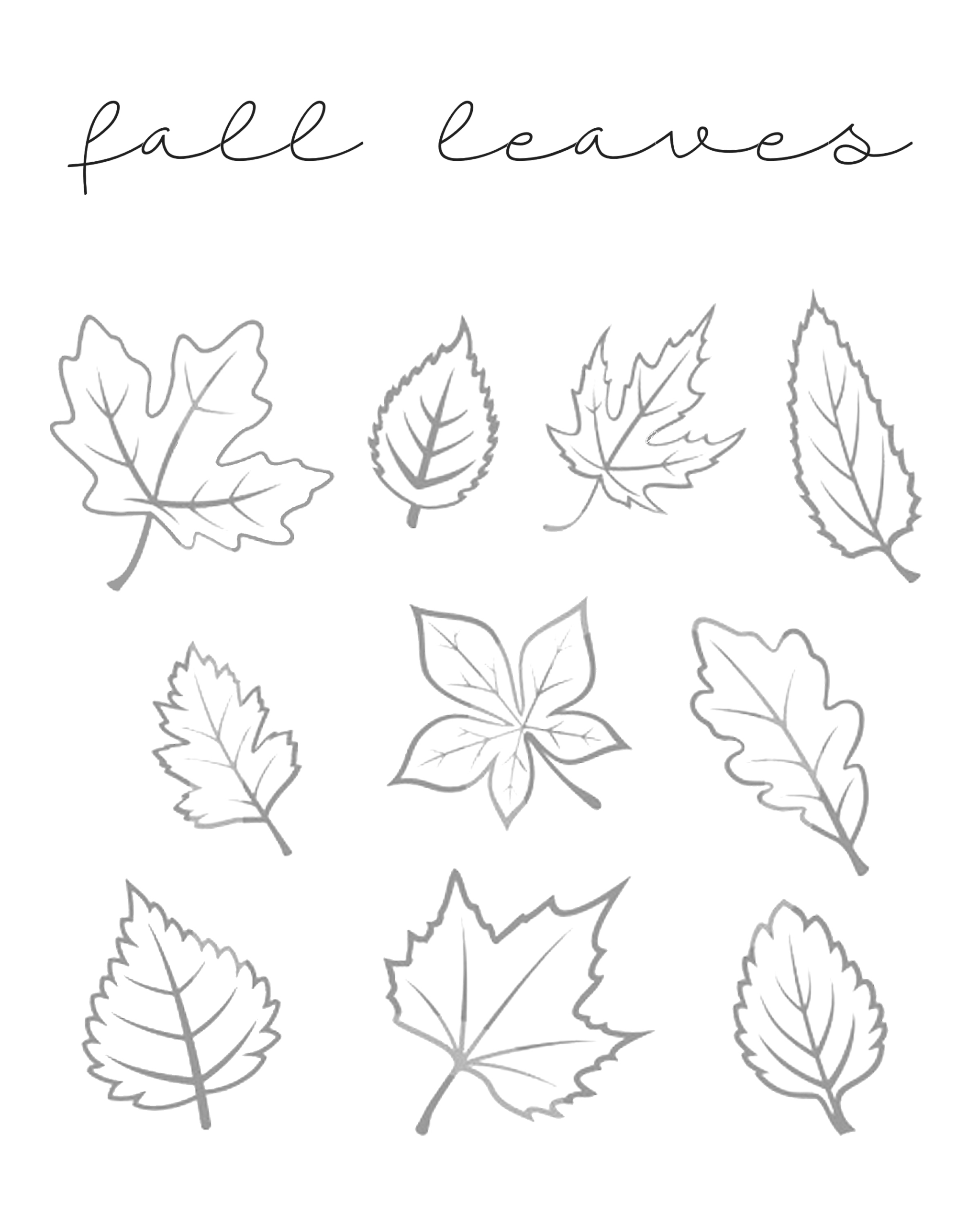 Fall Leaves Printable - Our Kid Things - Worksheets Library for Printable Pictures Of Fall Leaves
