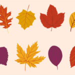 Fall Leaves Printables Free   Printable Party Favors Regarding Printable Fall Leaves Decorations