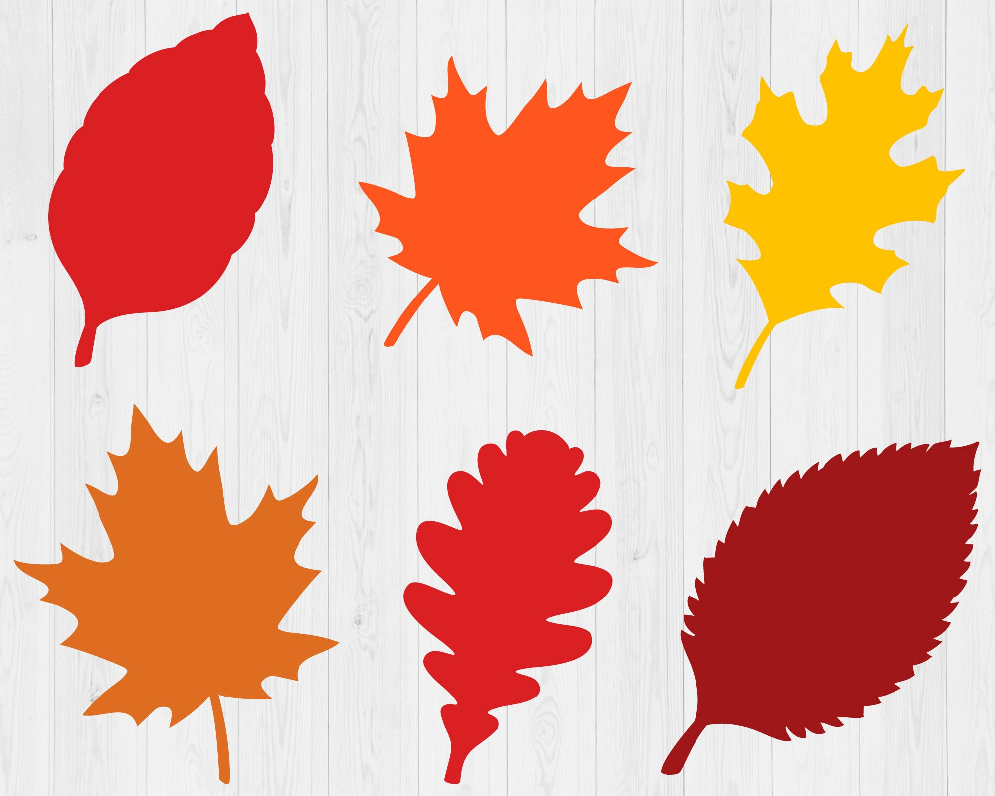 Fall Leaves Svg Bundle, Printable, Fall Svg, Thanksgiving Svg with Printable Fall Leaves To Cut Out