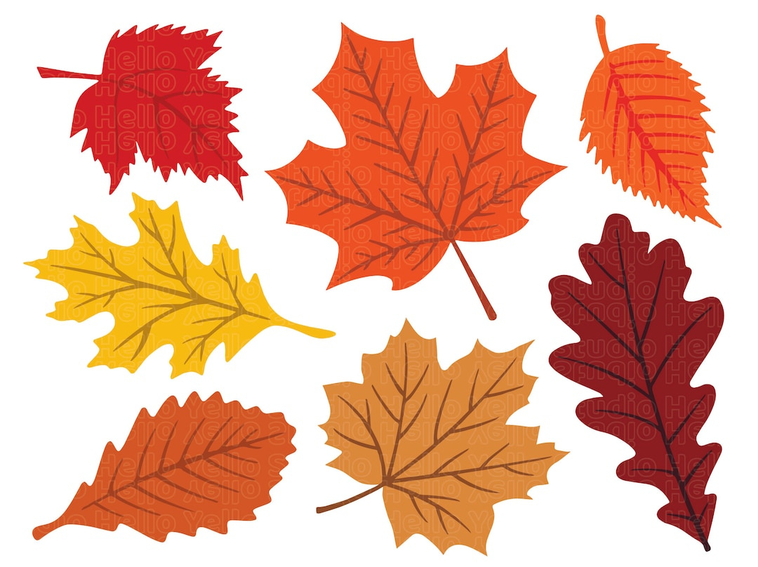 Fall Leaves Svg, Fall Svg, Fall Leaf Svg Bundle, Fall Png, Dxf intended for Printable Fall Leaves Images