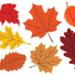 Fall Leaves Svg, Fall Svg, Fall Leaf Svg Bundle, Fall Png, Dxf Throughout Printable Pictures Of Fall Leaves