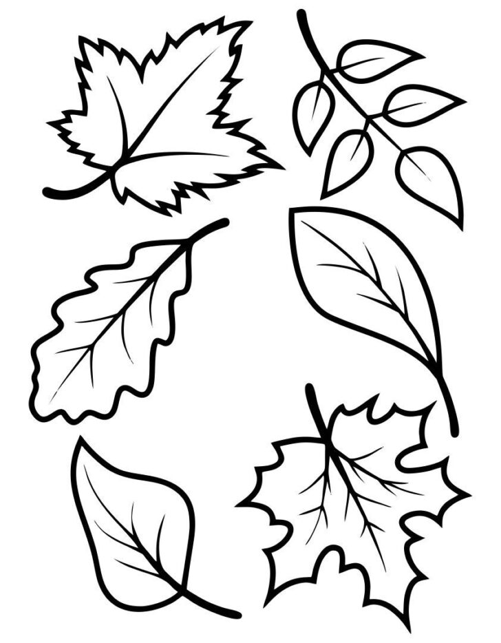 Fall Leaf Printable Template Fall Leaf Printable Template