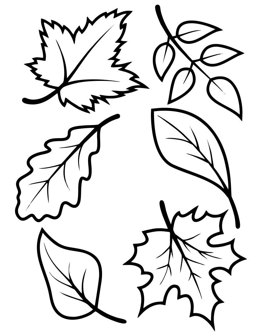 Fall Leaves Templates - 10 Free Pdf Printables | Printablee for Fall Leaf Printable Template