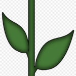 Flower Stem And Leaf   Free Transparent Png Clipart Images Download Intended For Stem And Leaf Template Printable
