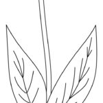 Flower Stems   12 Free Pdf Printables | Printablee Inside Printable Flower Stem And Leaf Template