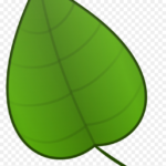 Free Clip Art Green Leaf   Green Leaf Template Printable, Hd Png With Regard To Green Leaf Template Printable
