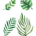 Free Green Leaf Printable Templets For Green Leaf Template Printable