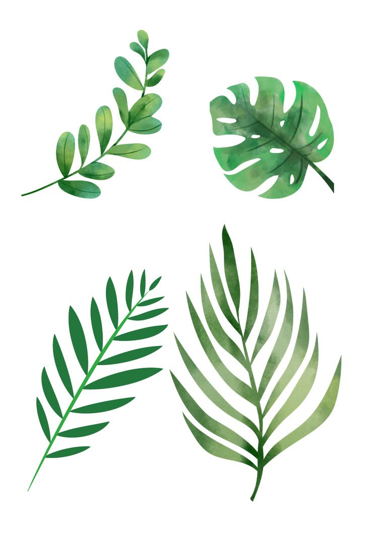 Free Green Leaf Printable Templets for Green Leaf Template Printable