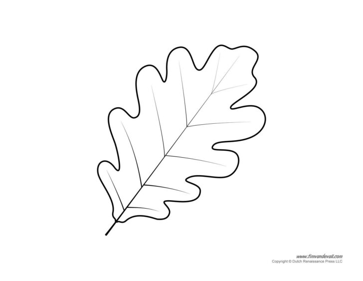 Oak Leaf Template Free Printable