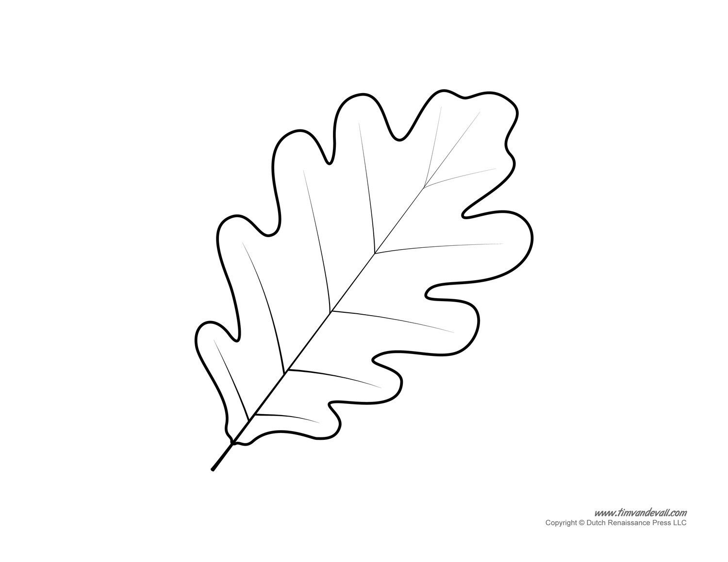 Free Leaf Template For Print - Worksheets Library pertaining to Oak Leaf Template Free Printable