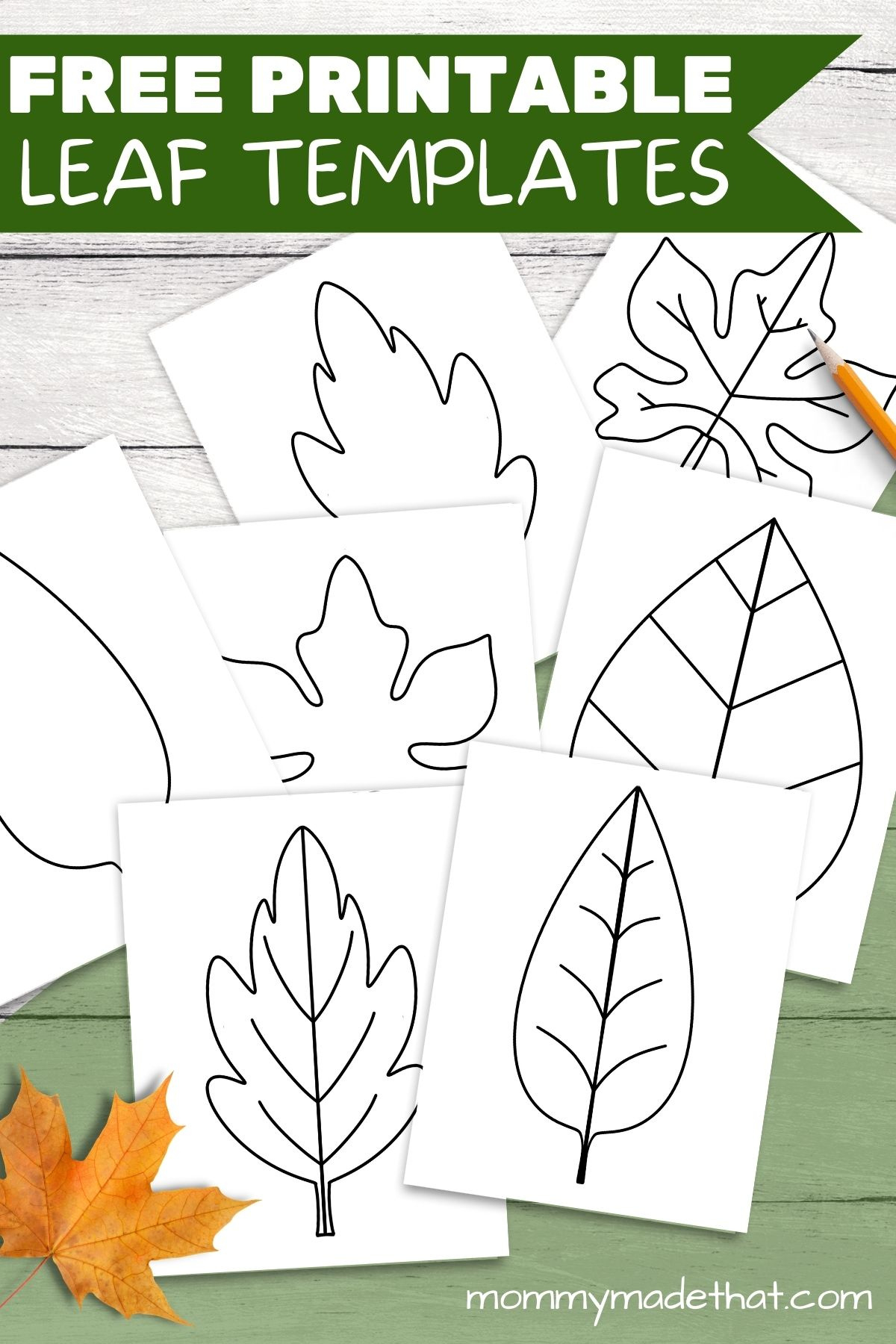 Free Leaf Templates &amp;amp; Outlines: Tons Of Printables!! inside Free Printable Maple Leaf Template