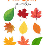 Free Printable Autumn Leaves Templates Regarding Printable Fall Leaves