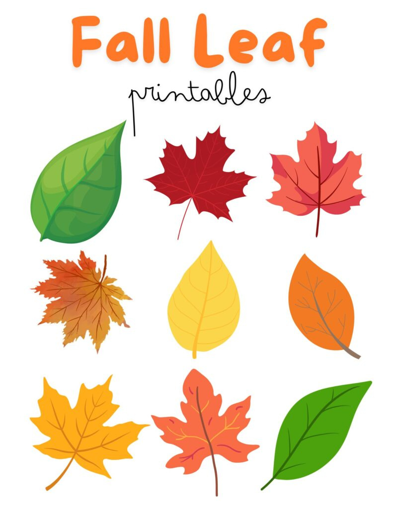 Free Printable Autumn Leaves Templates regarding Printable Fall Leaves