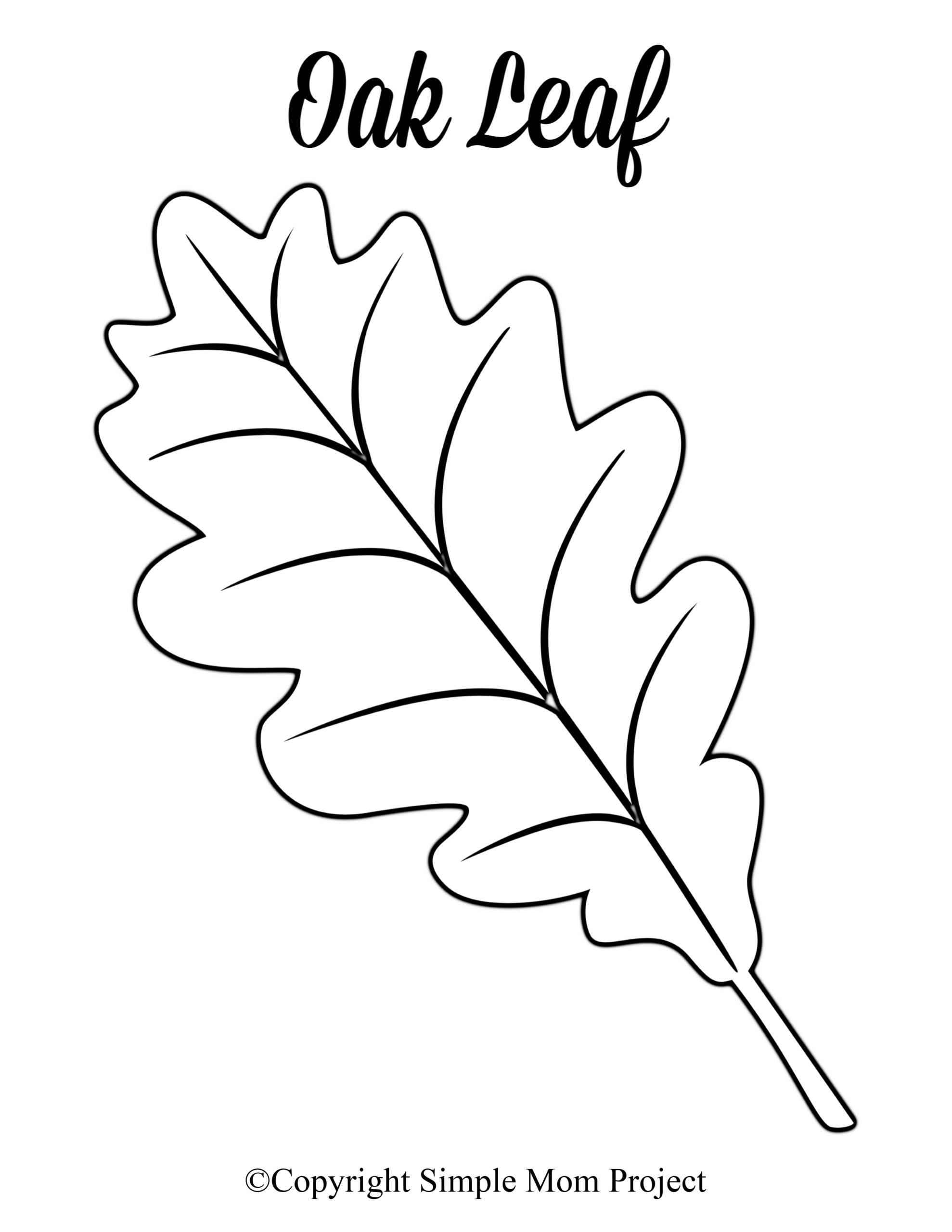 Free Printable Large Leaf Templates, Stencils And Patterns with regard to Big Fall Leaves Printable