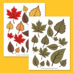 Free Printable Leaf Template Bundle For Fall Intended For Printable Fall Leaves In Color