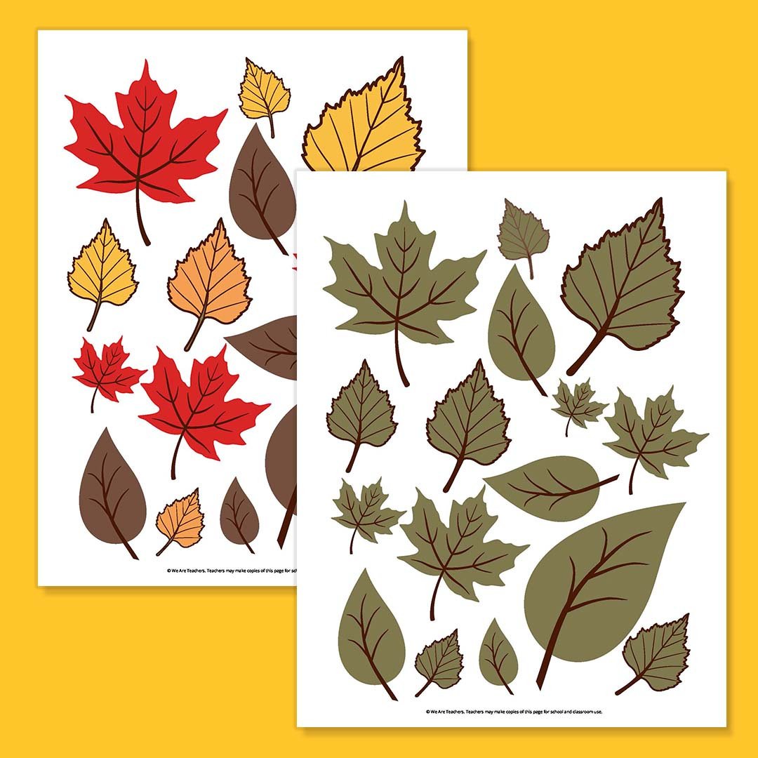Free Printable Leaf Template Bundle For Fall intended for Printable Fall Leaves In Color