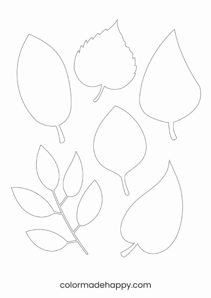 Large Leaf Template Printable Pdf