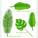 Free Printable Tropical Leaf Page Marker   Lesezeichen   Freebie Regarding Palm Leaf Printable Template