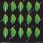 Green Leaf Template Vector Stock Stock Vector (Royalty Free Throughout Printable Green Leaf Template