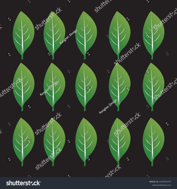 Printable Green Leaf Template Printable Green Leaf Template