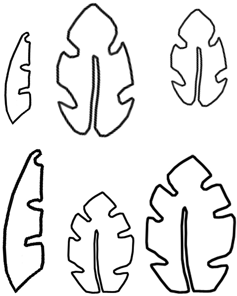 Hawaiian Leaf Template - Clip Art Library - Worksheets Library in Hawaiian Leaf Template Printable