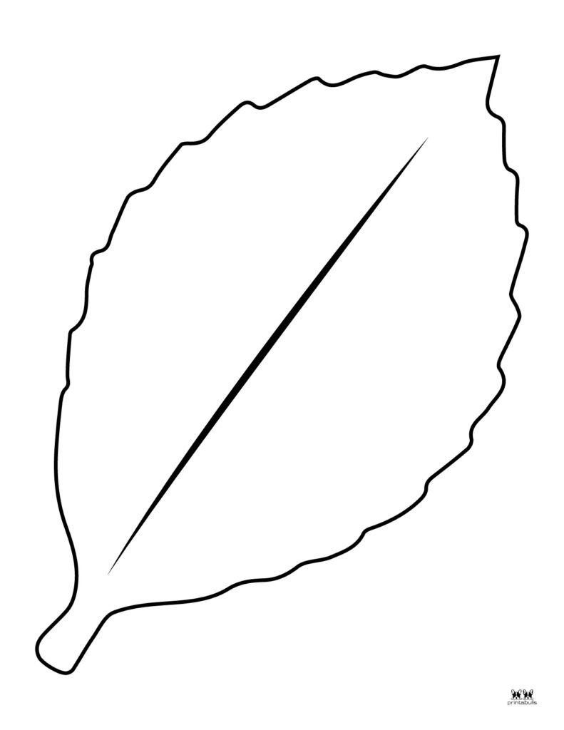 Leaf Outlines, Templates &amp;amp; Coloring Pages - 55 Free Pages intended for Sunflower Leaf Template Printable