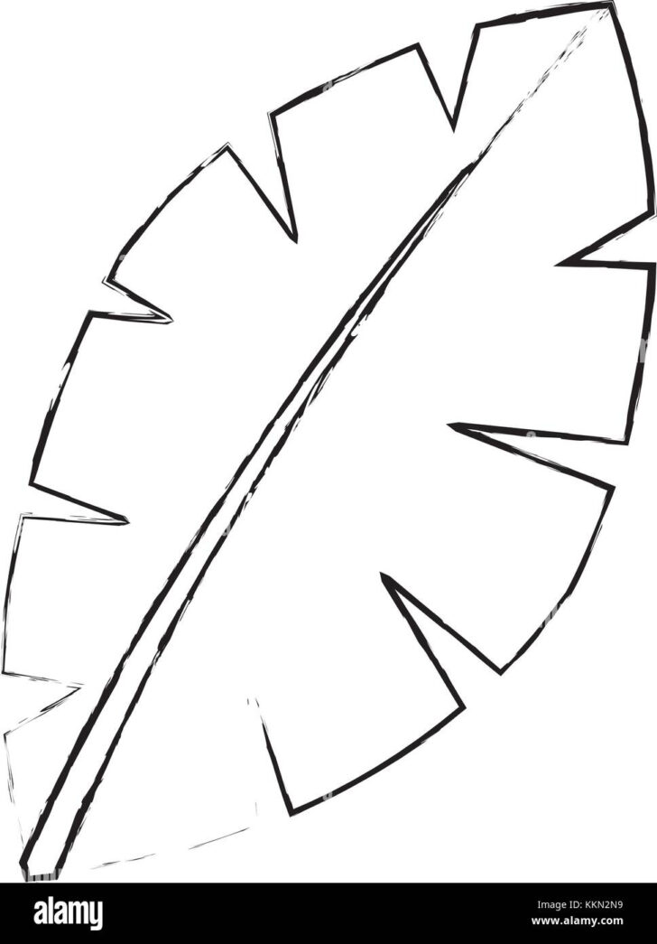 Printable Palm Tree Leaf Template