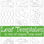 Leaf Template | Free Printable Leaf Outlines For Kids Inside Printable Jungle Leaf Template