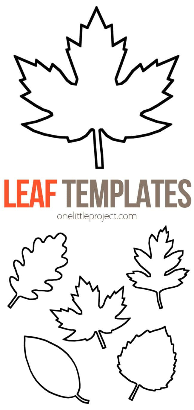 Maple Leaf Printable Template Maple Leaf Printable Template