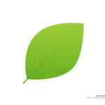 Leaf Templates & Leaf Coloring Pages For Kids | Leaf Printables Inside Green Leaf Template Printable