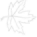 Maple Leaf Template   Weallsew Throughout Maple Leaf Template Printable