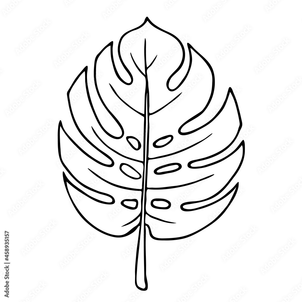 Monstera Leaf, Outline Floral Hand Drawn Sketch On White pertaining to Printable Monstera Leaf Template Free