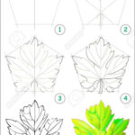 Page Shows How To Learn Stepstep To Draw A Grape Leaf Pertaining To Grape Leaf Template Printable Free