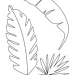 Palm Leaf Template Within Printable Palm Tree Leaf Template