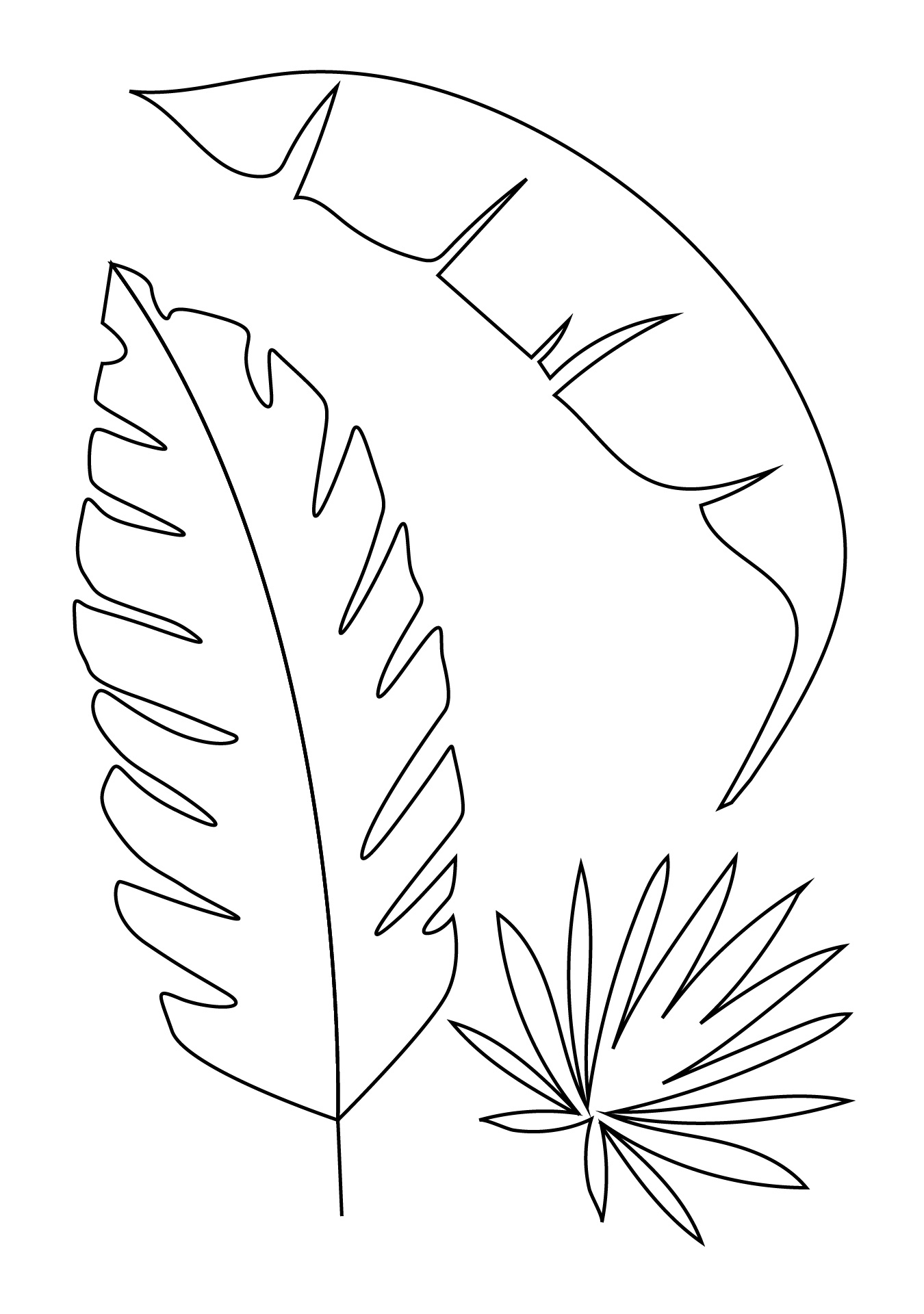 Palm Leaf Template within Printable Palm Tree Leaf Template